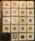 (18) Carded Indian Head Cents dating 1883 to 1908, stored in a plastic page.