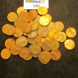 (50) High Quality Lincoln Cents.