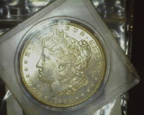 1886 P U.S. Morgan Silver Dollar, Gem Brilliant Uncirculated. Hints of Gold toning. Stored in a Snap