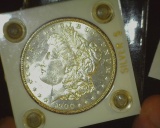1900 P U.S. Morgan Silver Dollar, Brilliant Uncirculated, stored in a white Capital plastic holder w