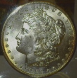 1899 O U.S. Morgan Dollar, Brilliant Uncirculated with a hint of gold toning.