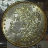 1904 O U.S. Morgan Silver Dollar, Brilliant Uncirculated. Light gold toning.