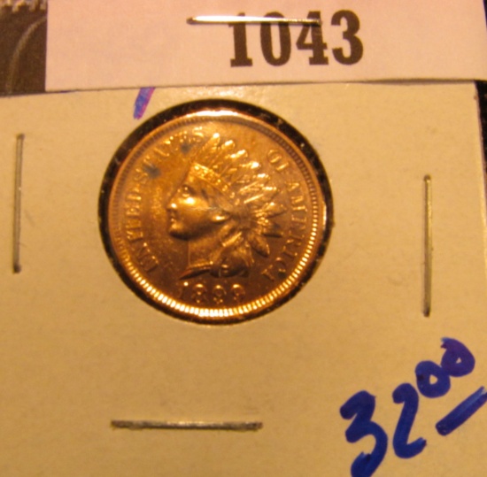 1043.           1899 Indian head cent