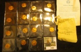 1425.           Bureau of the Mint Miniature Bag with 1973 P, D, & S Cents.  All Gem BU.