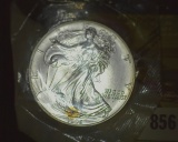 1995 U.S. Silver American Eagle Silver Dollar, One Ounce .999 Fine Silver with fantastic natural ton