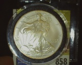 2006 U.S. Silver American Eagle Silver Dollar, One Ounce .999 Fine Silver, encased.