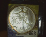 2002 U.S. Silver American Eagle Silver Dollar, One Ounce .999 Fine Silver, encased with fantastic na
