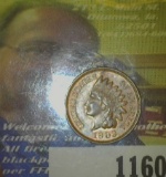 1903 High grade Indian Head Cent with lots of luster.
