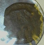1600's- 1700's Shipwreck Coin