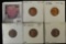 1935S, 36P, D, S, & 37P AU to Uncirculated Lincoln Cents, all carded and ready to be priced for the