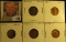 1933D EF, 34P AU, 35P BU, 35S VF, & 36D UNC Lincoln Cents, all carded and ready to be priced for the