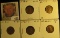 1933D AU, 34P AU, 35D AU, 35S VF, & 36D AU Lincoln Cents, all carded and ready to be priced for the