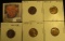 1932P EF, 32D EF, 34P BU, 34D AU, & 35S VF Lincoln Cents, all carded and ready to be priced for the