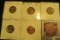 1932P G, 32D EF, 34D Brown AU, 35D AU, & 35S BU Lincoln Cents, all carded and ready to be priced for