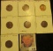 1927P VF, 27D EF, 27S EF, 28P EF, 28 Large S VG, & 29D AU  Lincoln Cents, both carded and ready to b