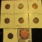 1927P VF, 27D EF, 27S EF, 28P EF, 28 Large S VG, 29S VF, & 30D AU  Lincoln Cents, both carded and re