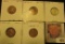 1926P EF, 26D EF, 26S Good, 27D AU, & 28 Large S Fine Lincoln Cents, both carded and ready to be pri