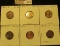 1925D EF, 25S EF, 26P AU, 26D EF, 26S Good, & 28 Large S Fine Lincoln Cents, both carded and ready t
