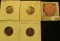 1925P EF, 25S EF, 26D EF, & 26S Fine Lincoln Cents, both carded and ready to be priced for the coin
