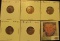 1924D G, 24S VF, 25S AU, 26D EF, & 26S Fine Lincoln Cents, both carded and ready to be priced for th