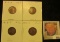 1924D VG, 24S VF, 26S Fine, & 31 S Fine Lincoln Cents, both carded and ready to be priced for the co