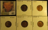 1933D EF, 34P AU, 35P BU, 35S VF, & 36D UNC Lincoln Cents, all carded and ready to be priced for the