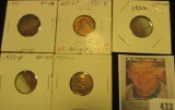 1931P EF, 31D EF, 32P VF, 32D EF, & 34D Brown Uncirculated Lincoln Cents, all carded and ready to be