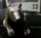 Silver bear, HEAVY, 131 grams, over 4 troy ounces of silver, marked S. Kirk and Sons STERLING