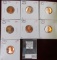 1979 S T-2, 80 S, 81 S T-1, 81 S T-2, 82 S, 83 S, 84 S Proof Lincoln Cents.