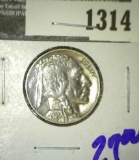 1925 P Buffalo nickel