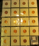 Nineteen piece Lincoln Cent Brilliant Uncirculated or Proof Set in a plastic page. Includes 1981 S,