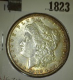 1900 P Morgan Silver Dollar with attractive original toning.