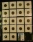 (17) Carded Indian Head Cents in a plastic page dated 1883-1907. Grades up to EF.
