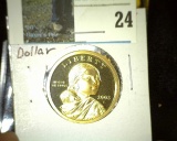 2003 S Proof Sacagawea One Dollar Coin.