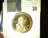 2000 S Proof Sacagawea One Dollar Coin.
