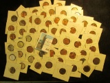 (50) Carded and ready for the show 1937-81D Lincoln Cents, many of which grade BU.