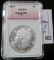 1880 S Morgan Silver Dollar slabbed by 