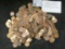 (361) High grade Wheat Cents, many are AU to Uncirculated.
