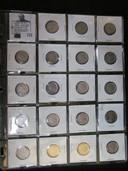 Twenty-pocket plastic page with (19) Buffalo Nickels, includes 1924 D & 26 D.