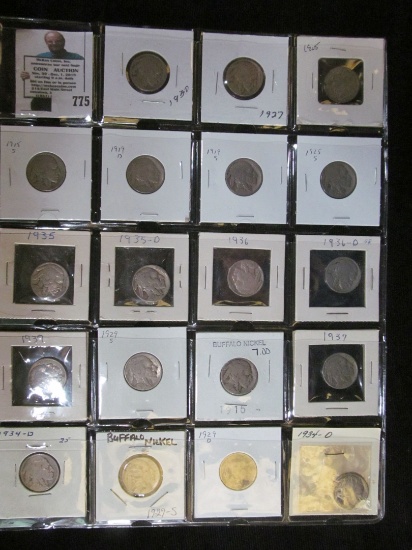 Twenty-pocket plastic page with (19) Buffalo Nickels, includes 1915 S, 19D & S.