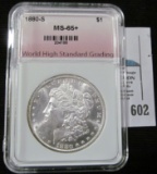 1880 S Morgan Silver Dollar slabbed by 