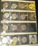 (14) Susan B. Anthony Dollars, all BU or Proof and stored in a plastic page.