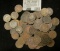 63 Indian Head Cents All For One Money
