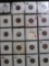 (19) Indian Head Cents dating back to 1865 in a 20-pocket plastic page.