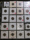 (19) Indian Head Cents dating back to 1889 in a 20-pocket plastic page.