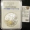 2010 American Silver eagle graded a perfect MS 70 by NGC