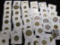 (50) Hong Kong Coins, all researched and catalogued, ready for the coin show.