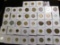 (43) Chile Coins all with attributions and carded.  Ready for the coin show.