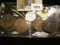 (3) 1861 & (4) 1864 New Brunswick One Cent coins with various problems.