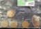 1961, 63, & 64 Canada Cents; 1903 encased Indian Head Cent; & an elongated 2004 Milwaukee Coin Conve